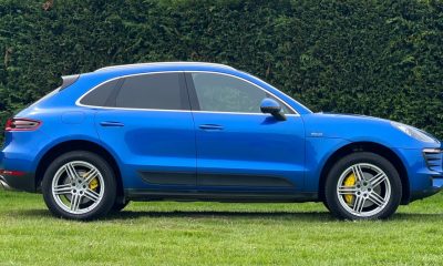 Macan